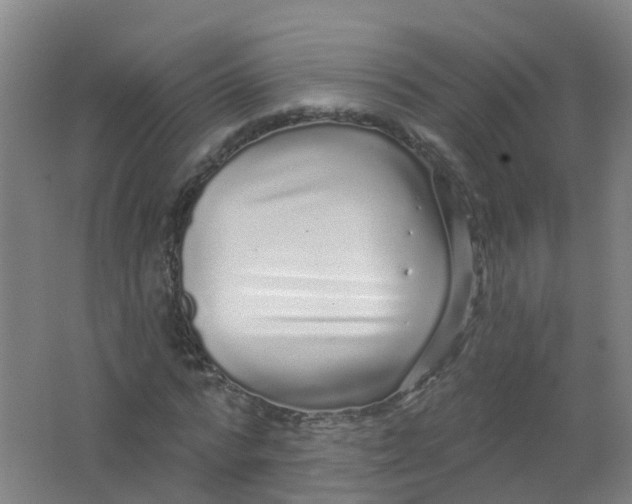 X0000062140776200512231504