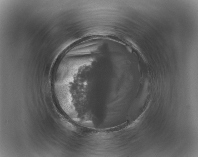 X0000062140779200512231504