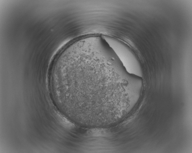 X0000062140780200512231504