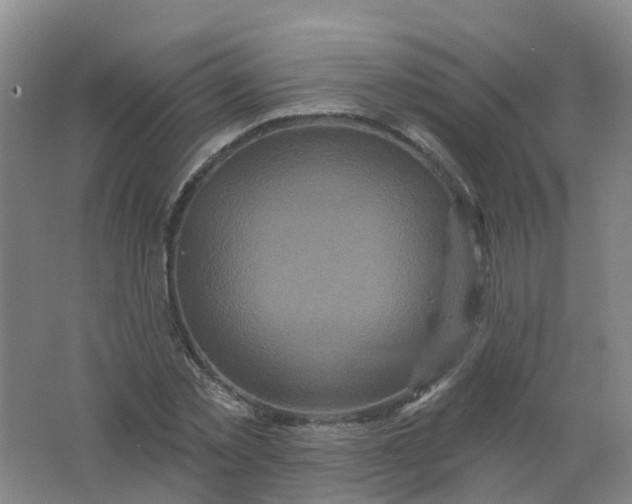 X0000062140781200512231504