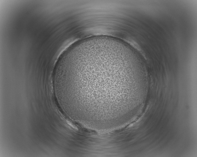 X0000062140782200512231504