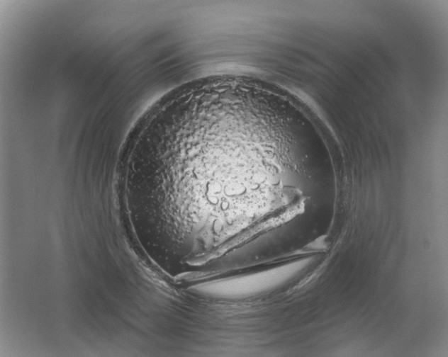 X0000062140783200512231504