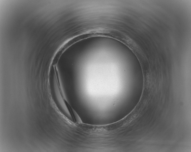 X0000062140784200512231504