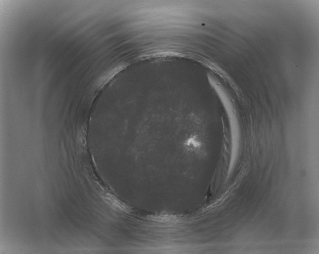 X0000062140785200512231504