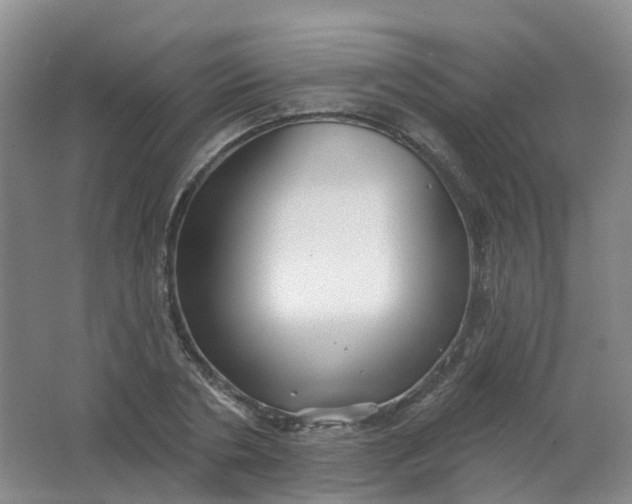 X0000062140786200512231504