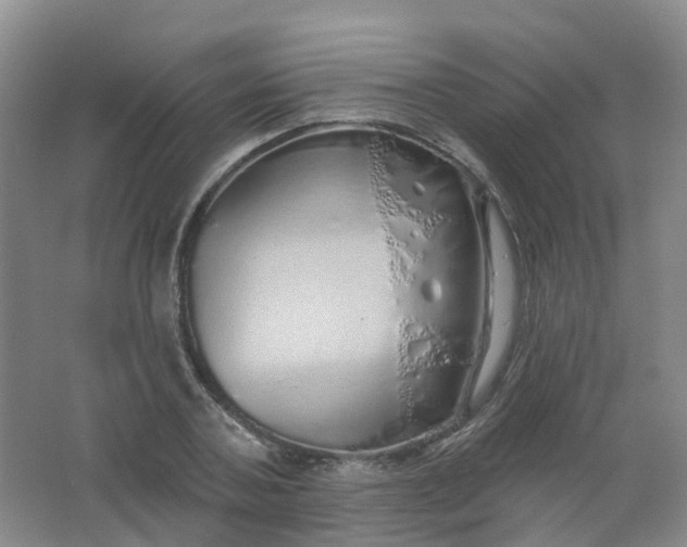 X0000062140787200512231504