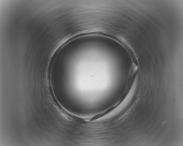 X0000062140789200512231504