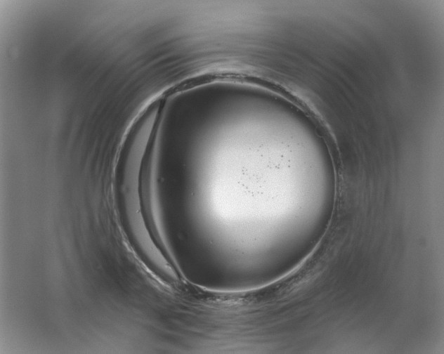 X0000062140791200512231503