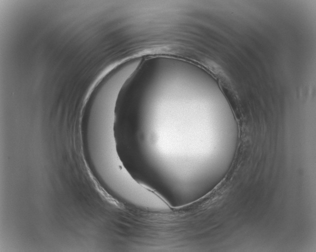 X0000062140792200512231503