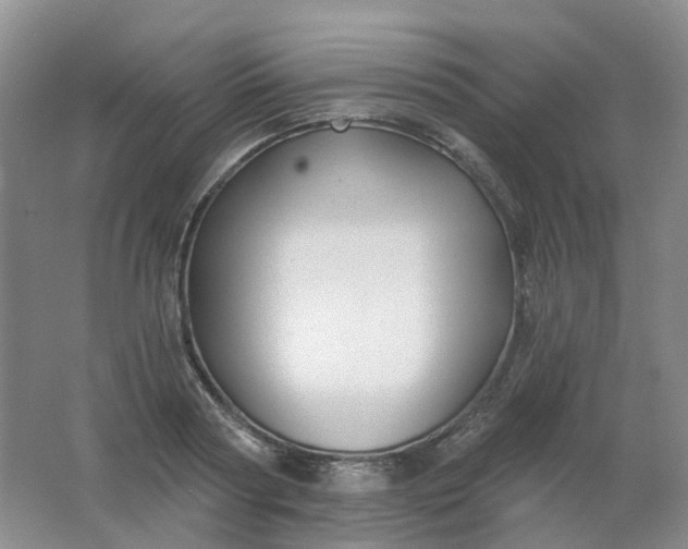 X0000062140794200512231503