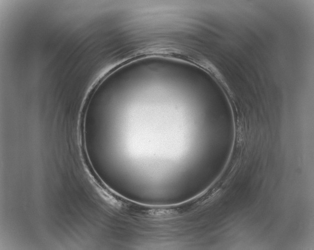 X0000062140795200512231503