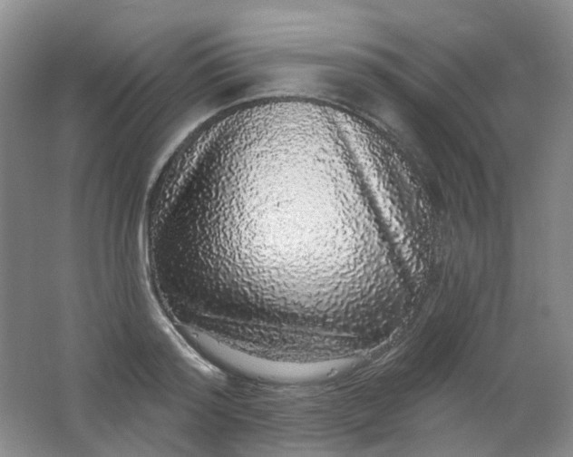 X0000062140796200512231503