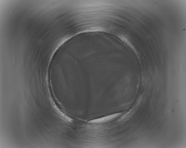 X0000062140797200512231503