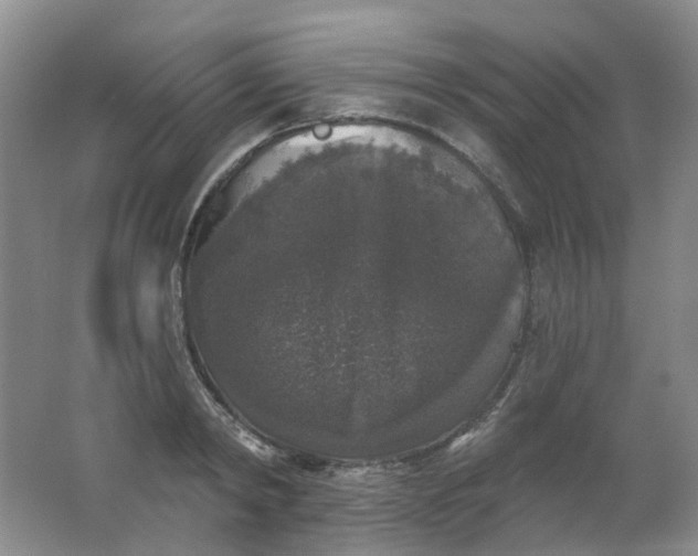 X0000062140798200512231503