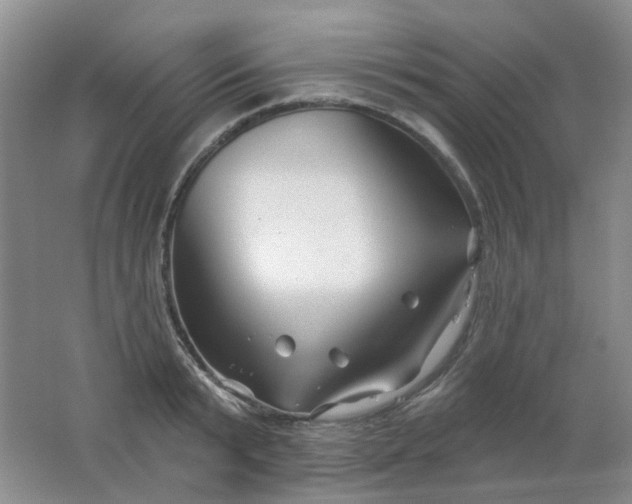 X0000062140799200512231503