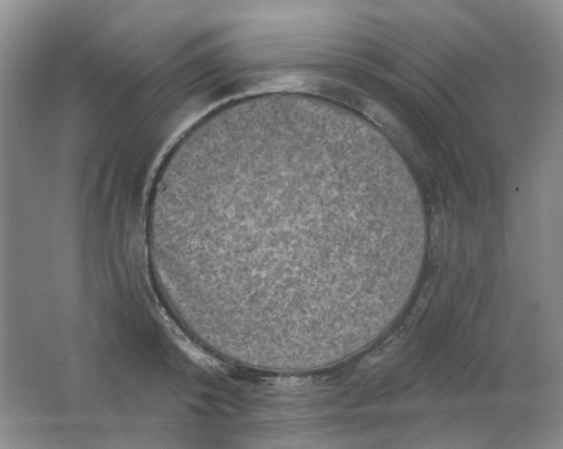 X0000062140800200512231503