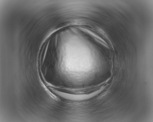 X0000062140803200512231503