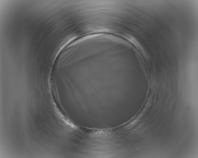 X0000062140806200512231503