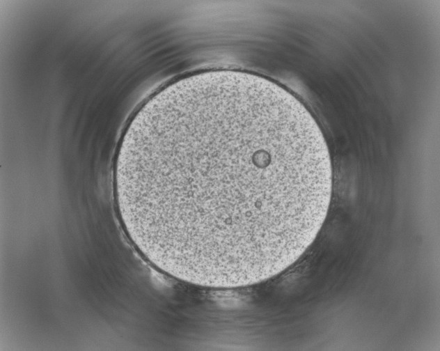 X0000062140807200512231503