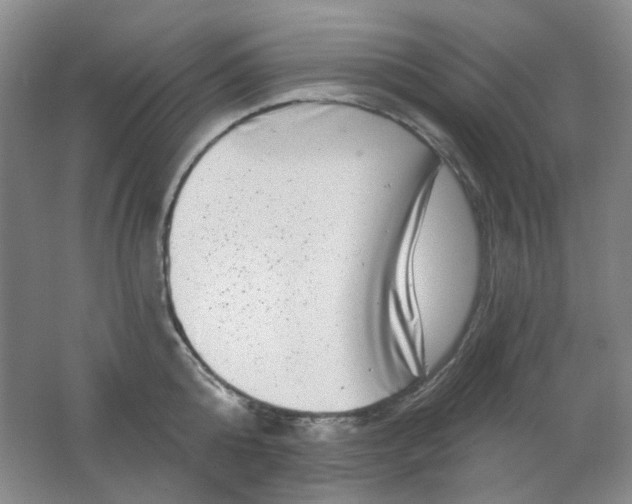 X0000062140808200512231503