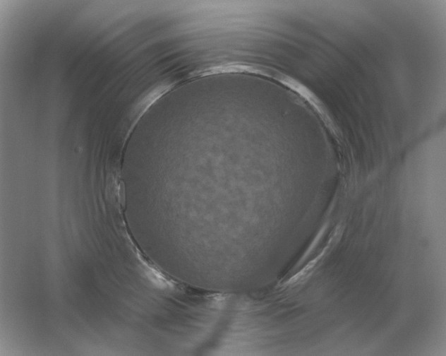 X0000062140809200512231503