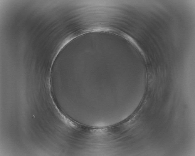 X0000062140810200512231503