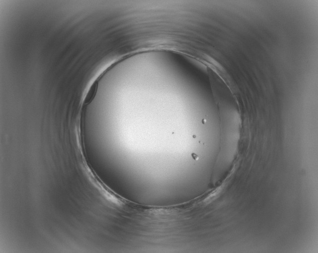 X0000062140812200512231503