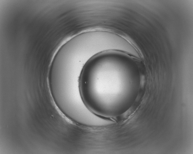 X0000062140813200512231503