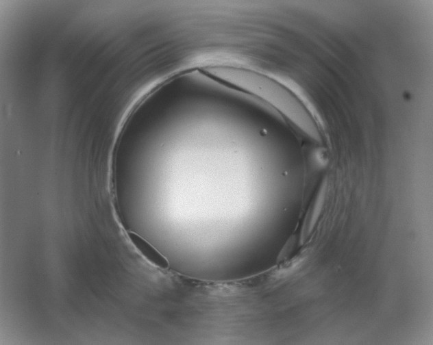 X0000062140815200512231503