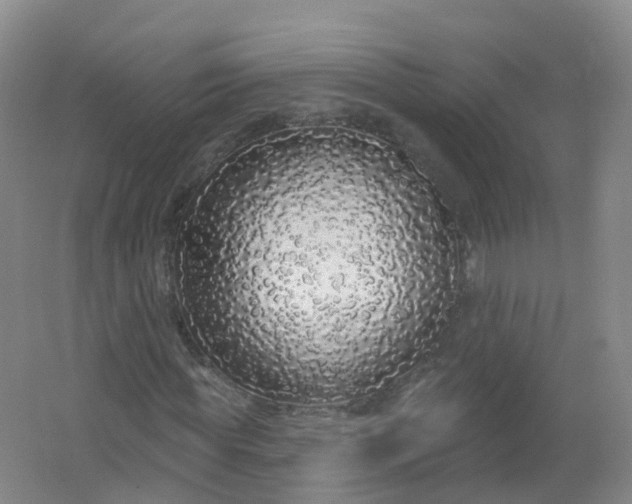 X0000062140819200512231502