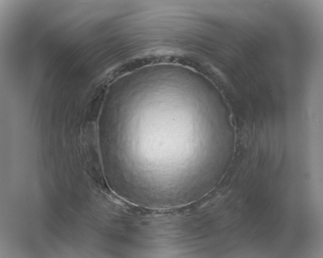 X0000062140821200512231502