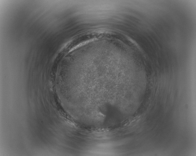 X0000062140823200512231502