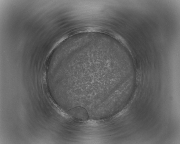 X0000062140827200512231502