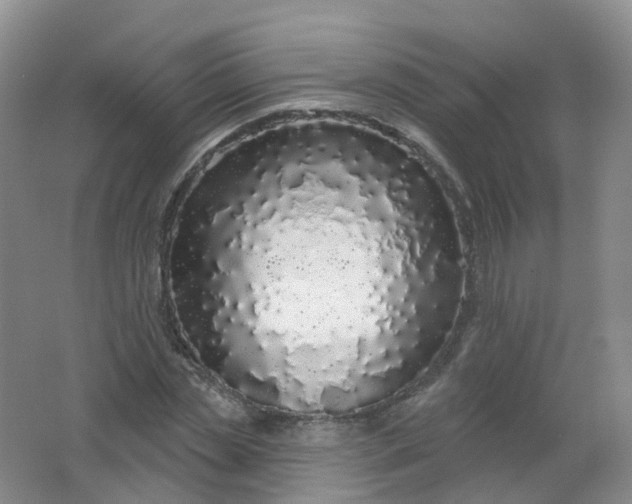 X0000062140829200512231502