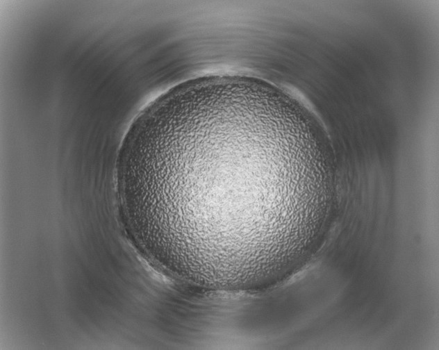 X0000062140831200512231502