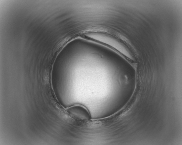 X0000062140833200512231503