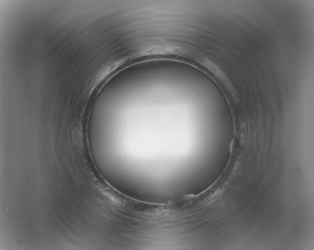 X0000062140834200512231503