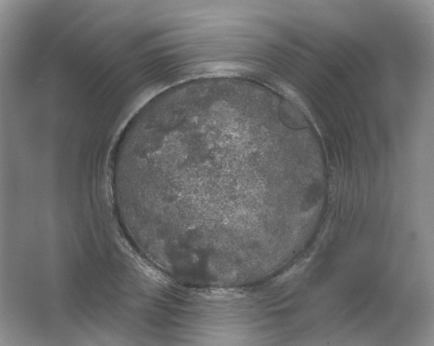 X0000062140835200512231503