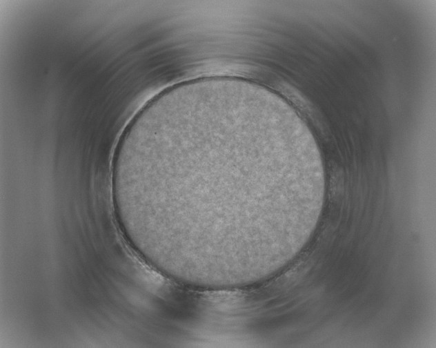 X0000062140836200512231503