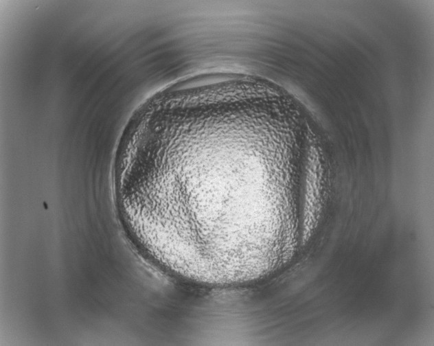 X0000062140840200512231503