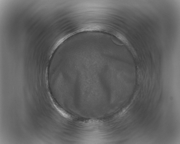 X0000062140842200512231503