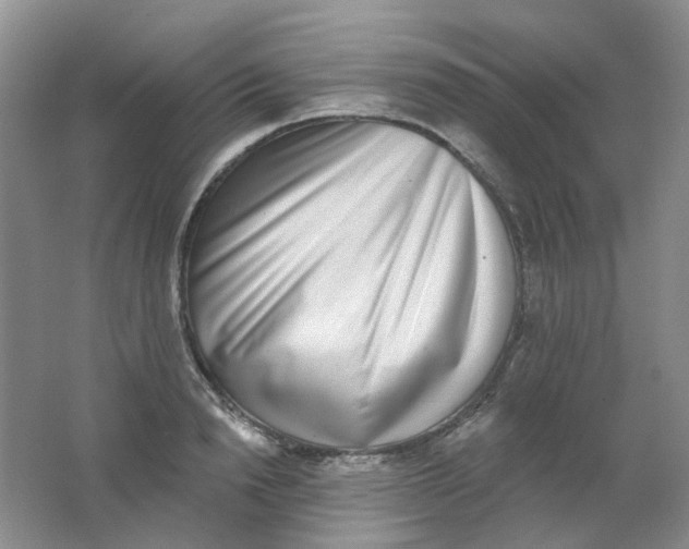 X0000062140846200512231503