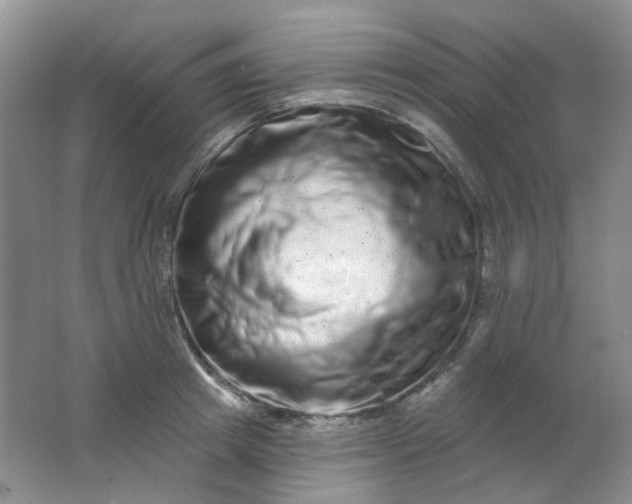 X0000062140849200512231503