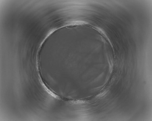 X0000062140851200512231503