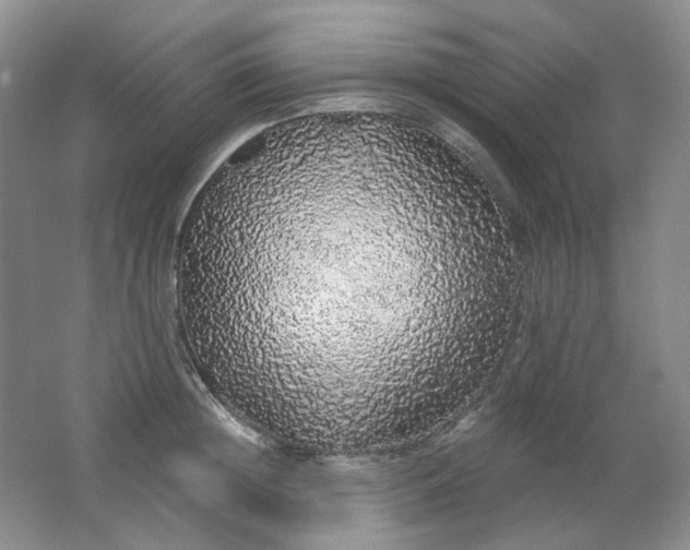 X0000062140852200512231503