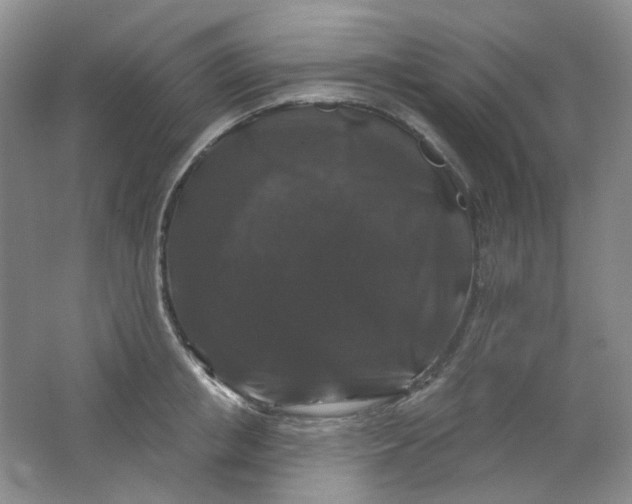 X0000062140853200512231503