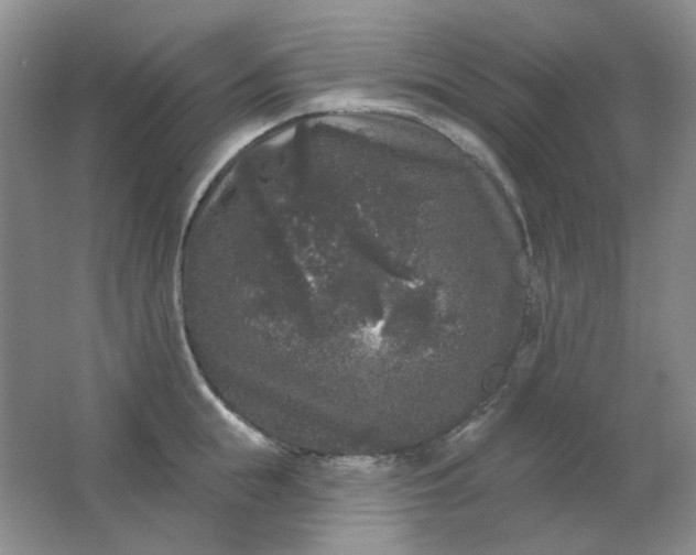 X0000062140855200512231503