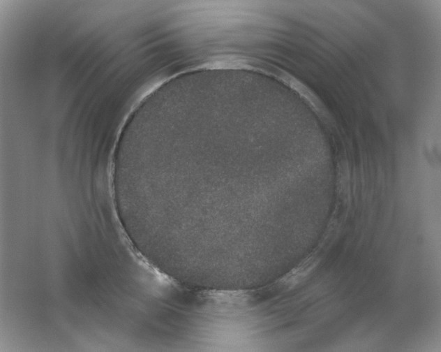 X0000062140856200512231503