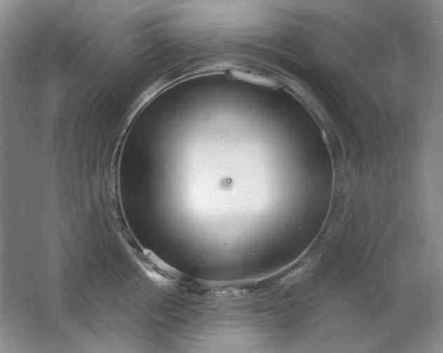 X0000062140858200512231503