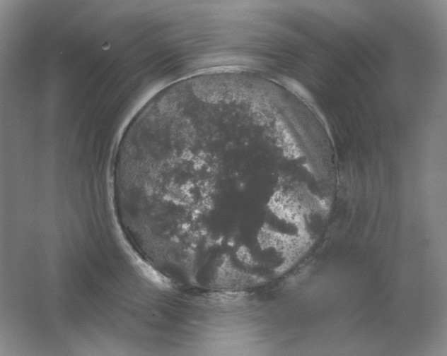 X0000062140859200512231503